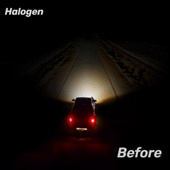 360° Full IIlumination T6F H11/H8/H9 60W 6500K White 20000LM IP68 LED Headlight Bulbs 2 Pcs | Hawkglow